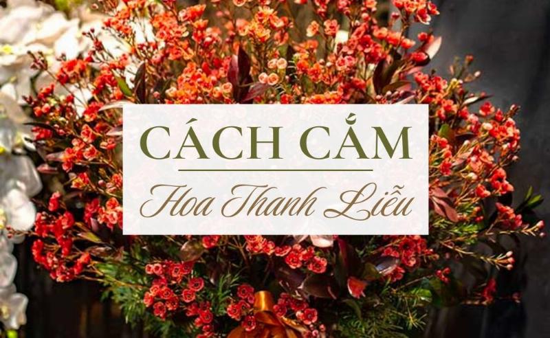Hình ảnh các cành hoa cúc đỏ tươi được cắm trong bình nước sạch